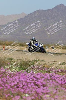 media/Feb-04-2023-SoCal Trackdays (Sat) [[8a776bf2c3]]/Turn 15 Inside Blooming (1050am)/